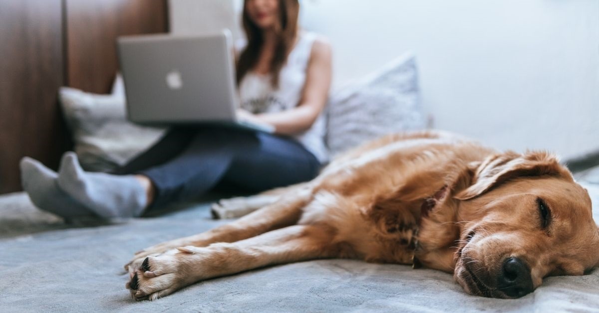 Choose to be happy at work