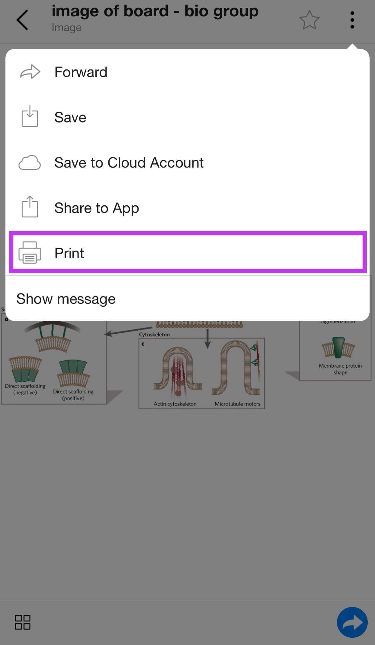 Print pdf email