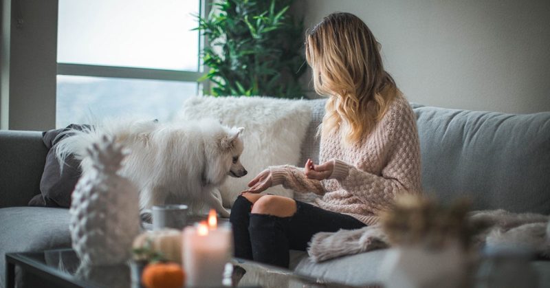Working from home myths