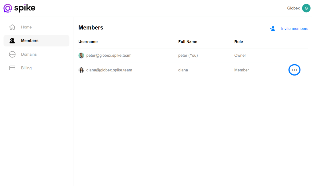 How to remove members from a teamspace spike help center