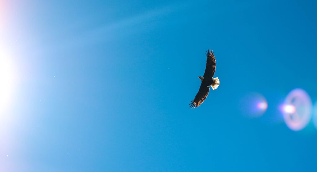 alternative to thunderbird